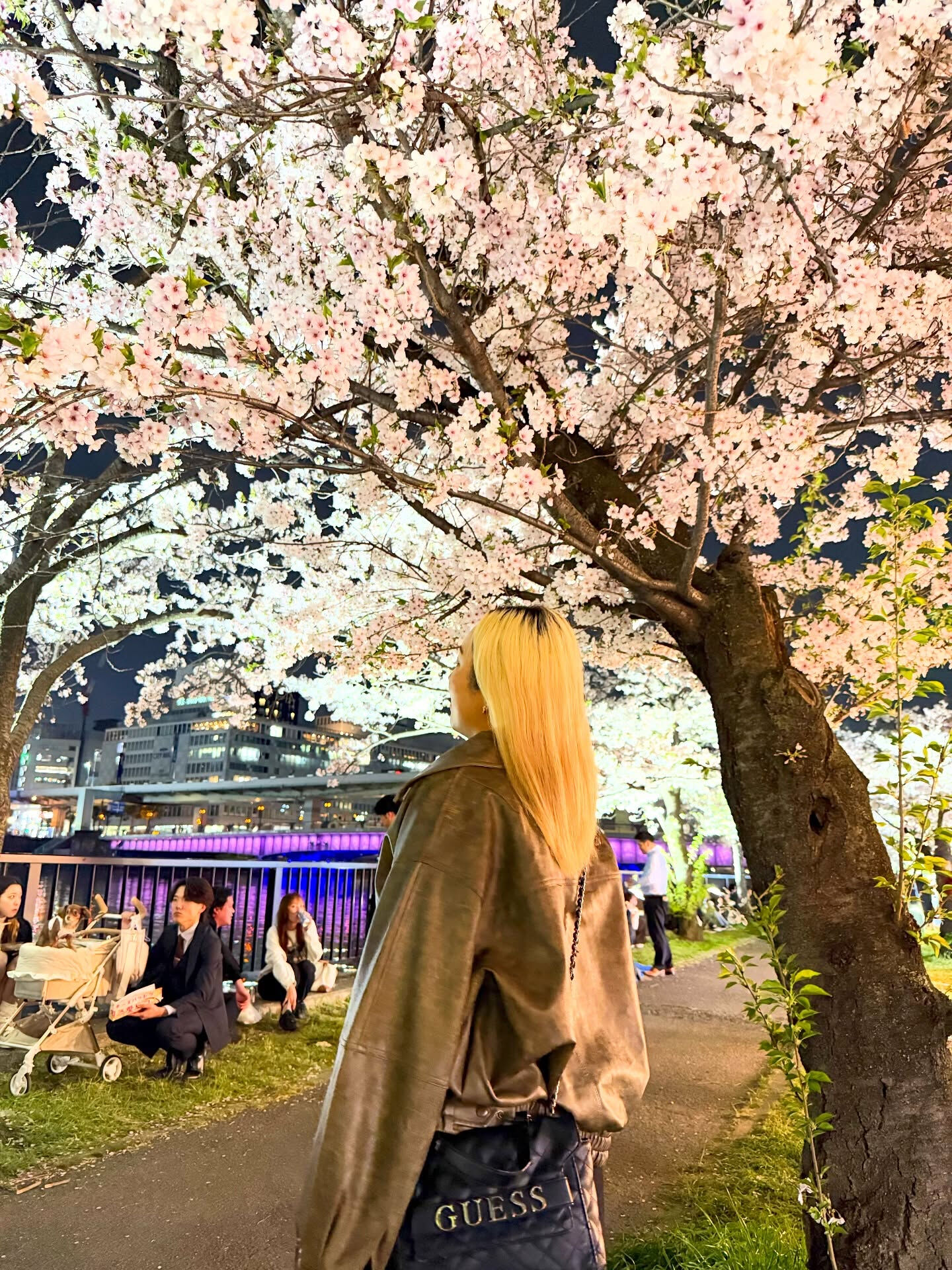 夜桜行ってきたーー〜🌸